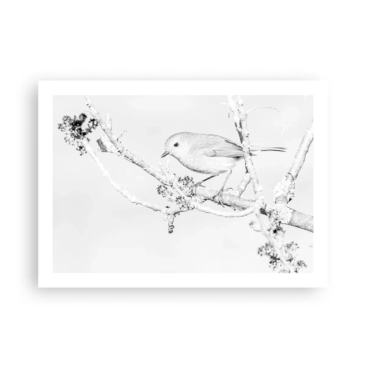 Poster - Mattino invernale - 70x50 cm