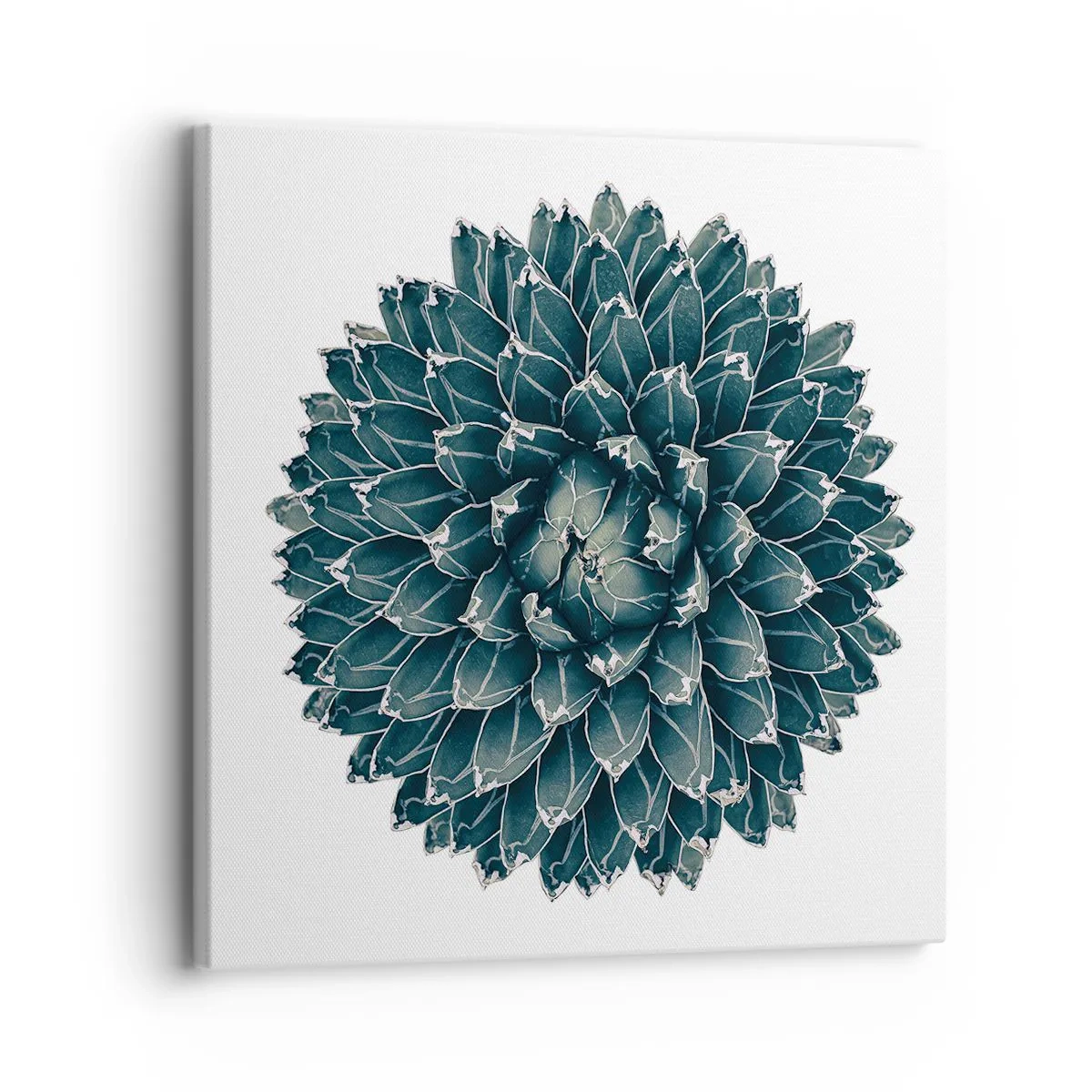 Quadro su tela - Stampe su Tela - La stella del deserto - 30x30 cm