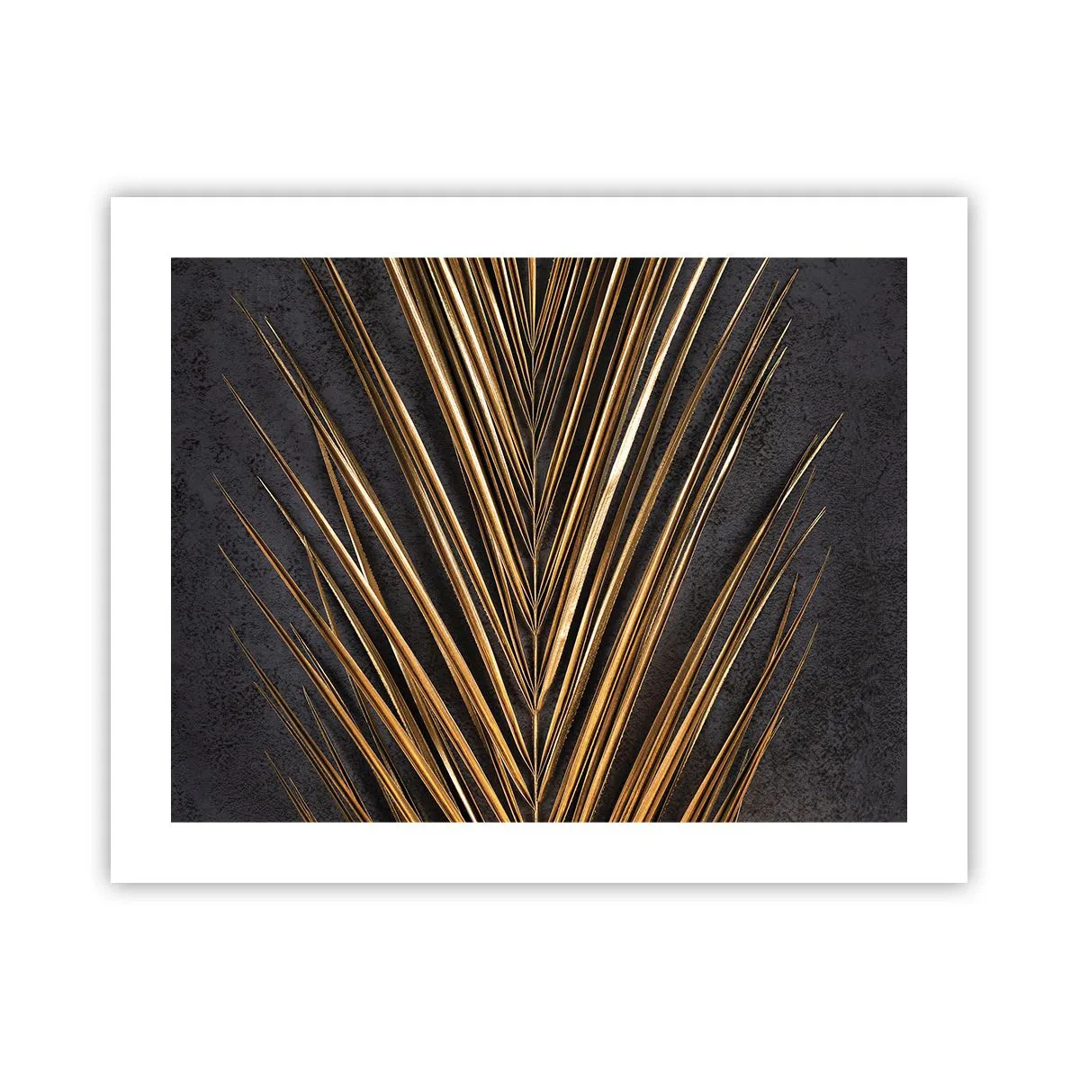 Poster - L'oro dei tropici - 50x40 cm