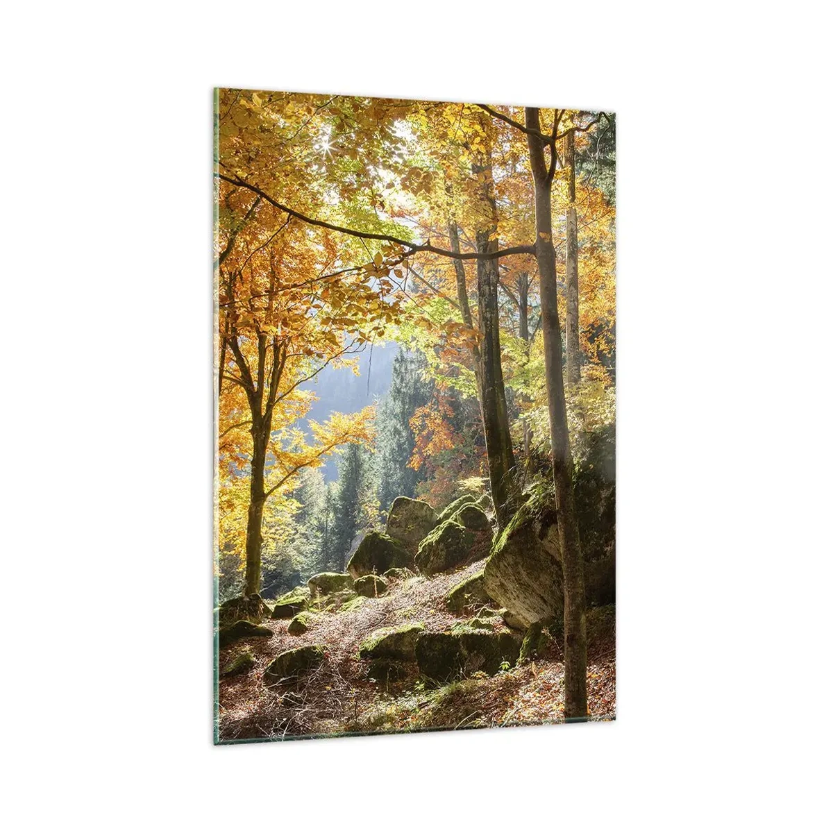 Quadro su vetro - Una foresta autunnale piena di foglie dorate e luce solare - 80x120cm - Il tempo del riposo - Decorazione murale moderna per soggiorno e camera da letto ARTTOR