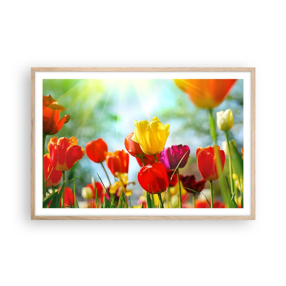 Poster in cornice rovere chiaro - Tutti i colori del sole - 91x61 cm