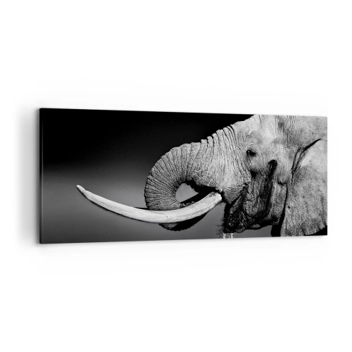 Quadro su tela - Stampe su Tela - Ritratto in bianco e nero di un elefante di profilo - 120x50cm - Si, adesso va bene - Decorazione murale moderna per soggiorno e camera da letto ARTTOR