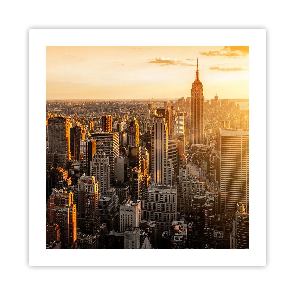 Poster - Crescere al sole - 50x50 cm