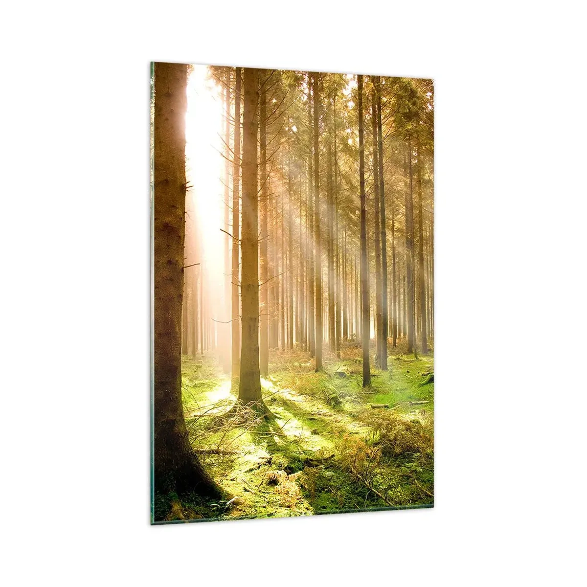 Quadro su vetro - Foresta di conifere con raggi di sole che brillano attraverso gli alberi - 80x120cm - Adesso appaiono gli elfi - Decorazione murale moderna per soggiorno e camera da letto ARTTOR
