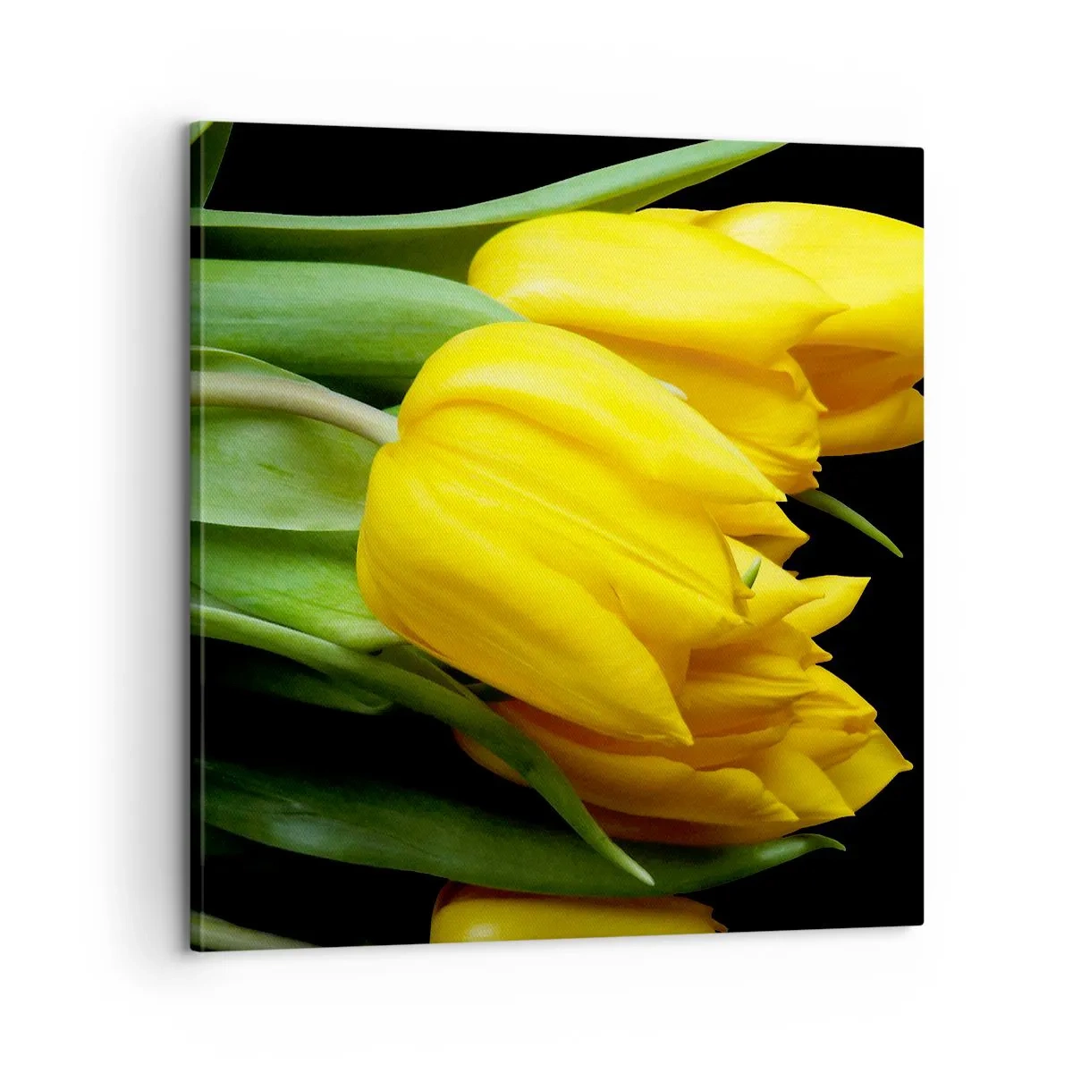 Quadro su tela - Stampe su Tela - Fatti di puro sole - 60x60 cm