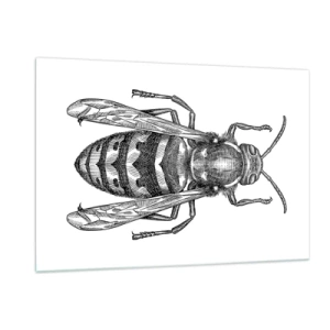 Quadro su vetro - Illustrazione retrò in bianco e nero di una vespa su sfondo bianco - 120x80cm - Dal pianeta degli insetti - Decorazione murale moderna per soggiorno e camera da letto ARTTOR