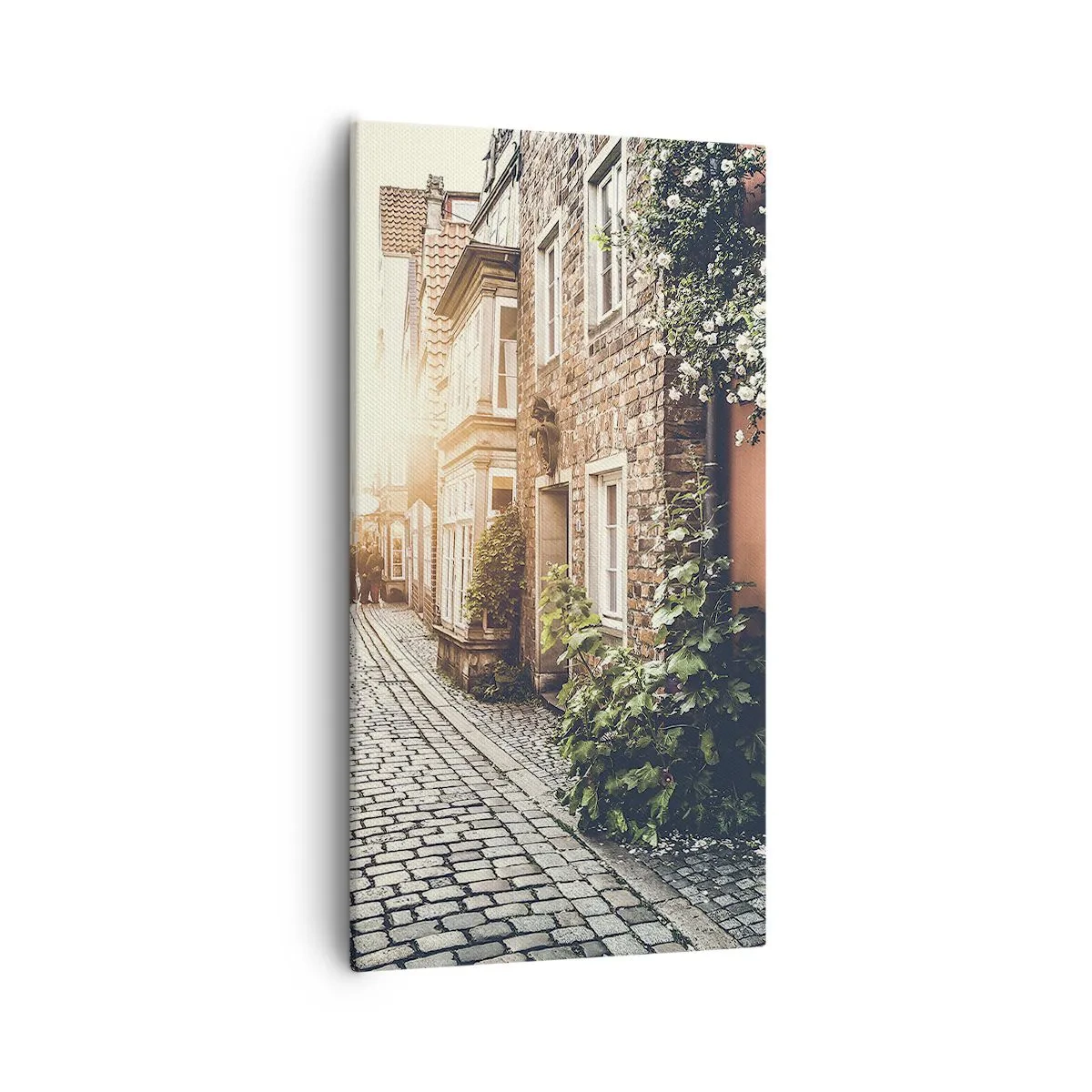 Quadro su tela - Stampe su Tela - L'angolo delle rose nella luce rosata - 55x100 cm