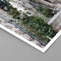 Senza cornice