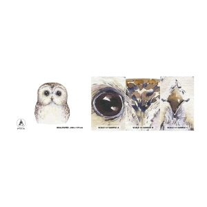 Campione Di Fotomurale Standard Eco - Guardami negli occhi - Gufo, Uccello, Grafica - 100x30 cm