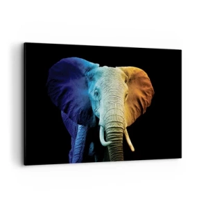 Quadro su tela - Stampe su Tela - Ritratto di elefante nei colori dell'arcobaleno - 120x80cm - Eccentrico, non strano - Decorazione murale moderna per soggiorno e camera da letto ARTTOR