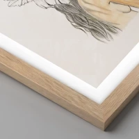Rovere chiaro