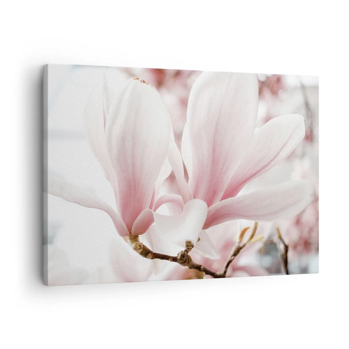 Quadro su tela - Stampe su Tela - Delicati fiori di magnolia in tonalità pastello - 70x50cm - Tenerezza senza fine - Decorazione murale moderna per soggiorno e camera da letto ARTTOR