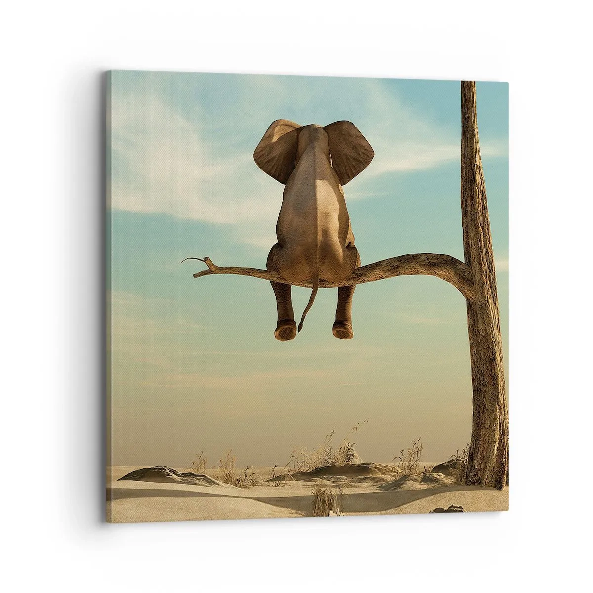 Quadro su tela - Stampe su Tela - Nuovo punto di vista - 70x70 cm