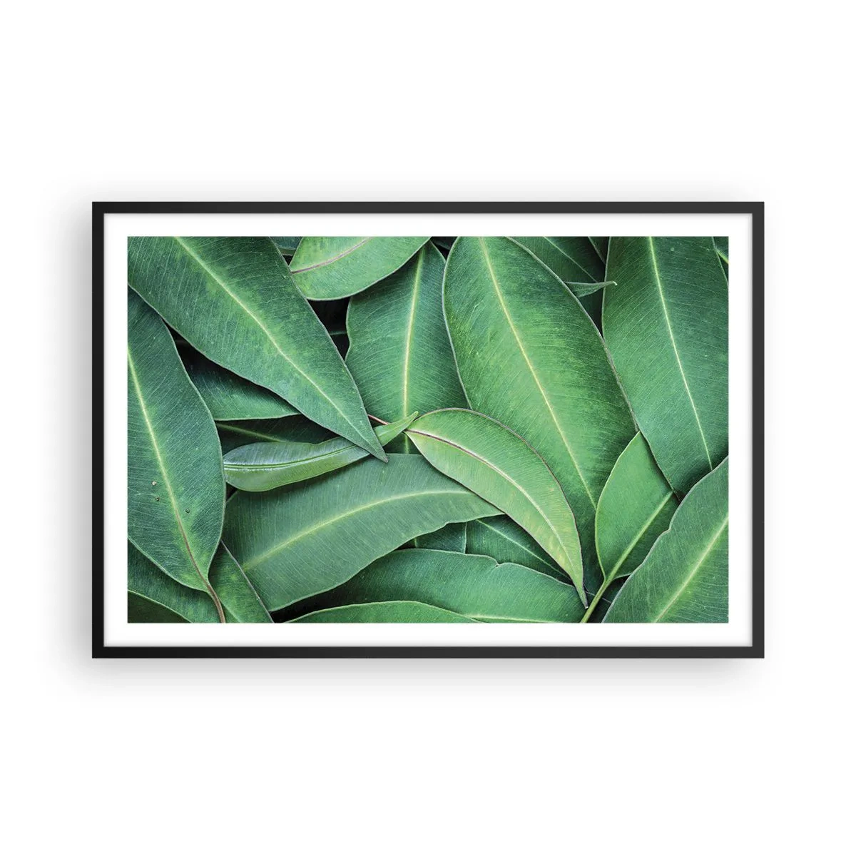 Poster in cornice nera - Succosi e freschi - 91x61 cm