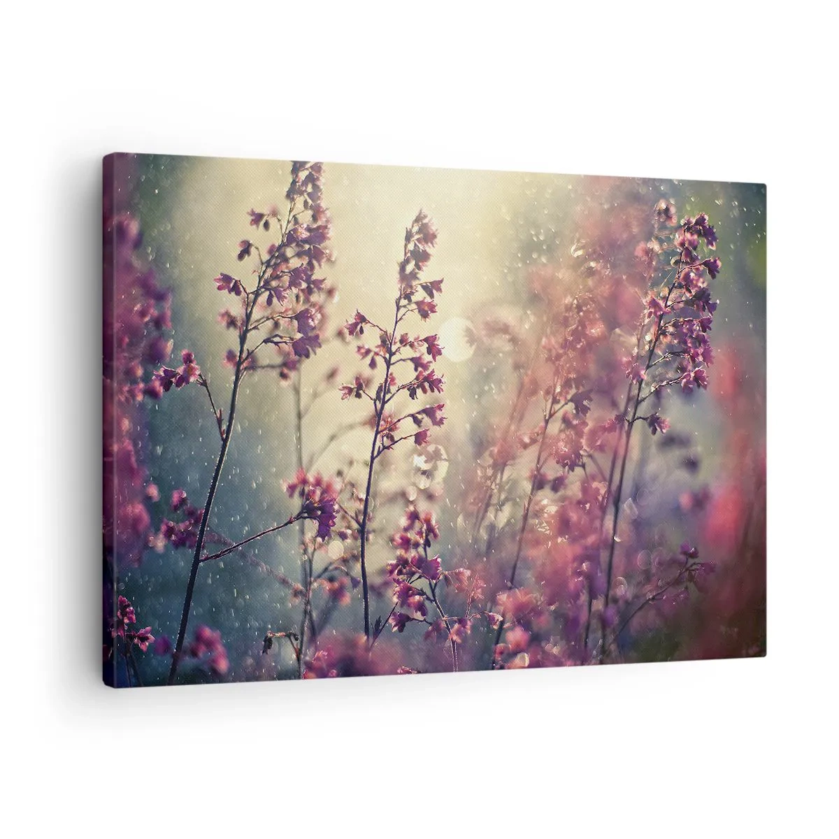 Quadro su tela - Stampe su Tela - Fiori alla luce del sole sullo sfondo della natura - 70x50cm - Giardino misterioso - Decorazione murale moderna per soggiorno e camera da letto ARTTOR