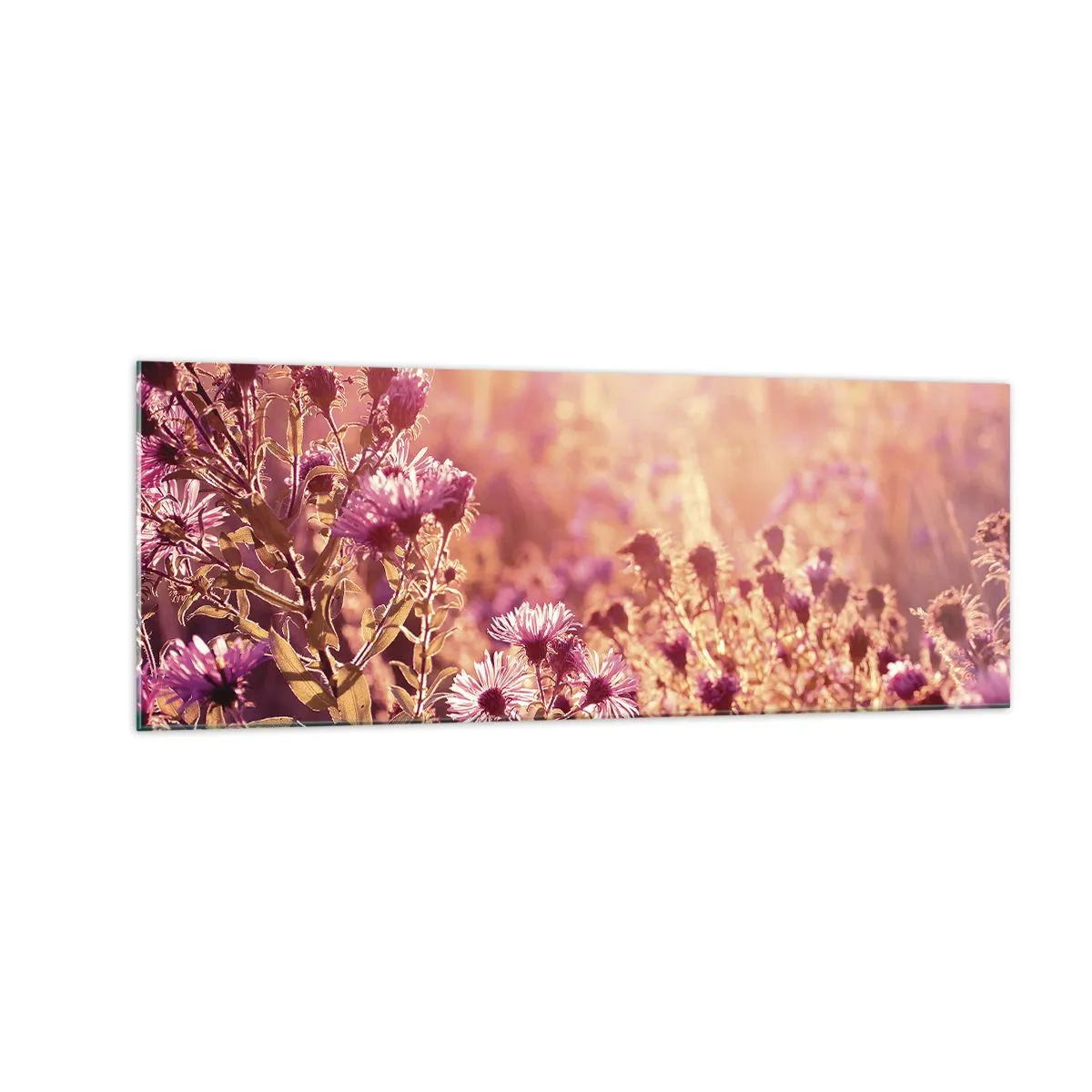 Quadro su vetro - Prato alla luce del sole al tramonto - 140x50cm - Prima della fine dell'estate - Decorazione murale moderna per soggiorno e camera da letto ARTTOR