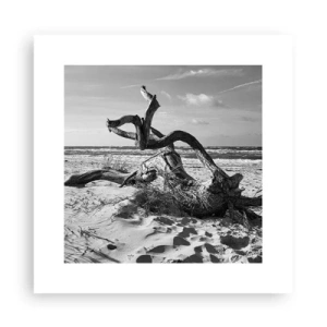 Poster - Scolpito dal mare - 30x30 cm