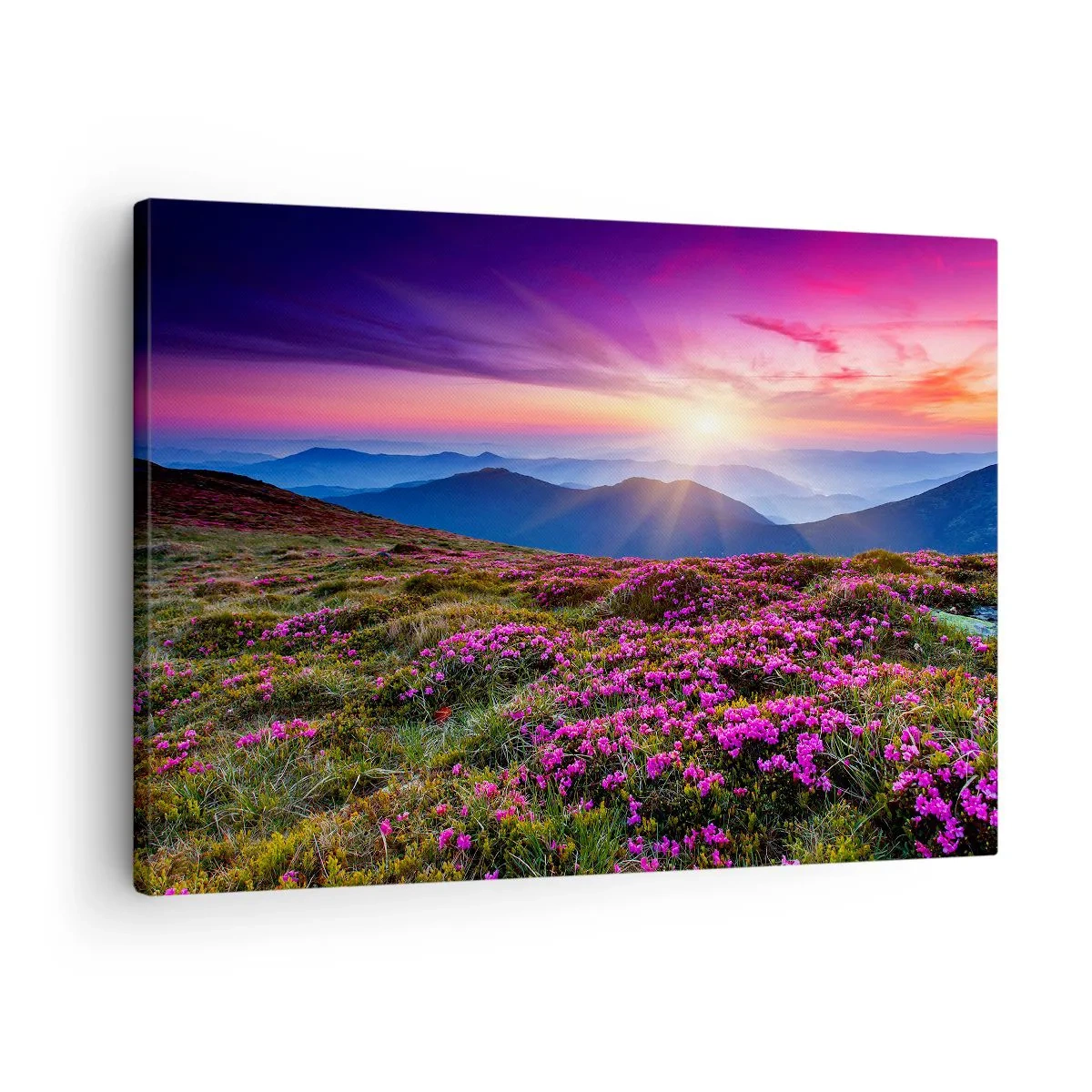Quadro su tela - Stampe su Tela - Prato di montagna con fiori al tramonto - 70x50cm - Il profumo dei fiori freschi del campo - Decorazione murale moderna per soggiorno e camera da letto ARTTOR