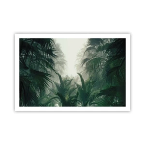 Poster - Mistero dei tropici - 91x61 cm