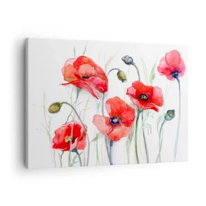 Quadro su tela - Stampe su Tela - Papaveri acquerellati su uno sfondo delicato - 70x50cm - Fiori polacchi - Decorazione murale moderna per soggiorno e camera da letto ARTTOR