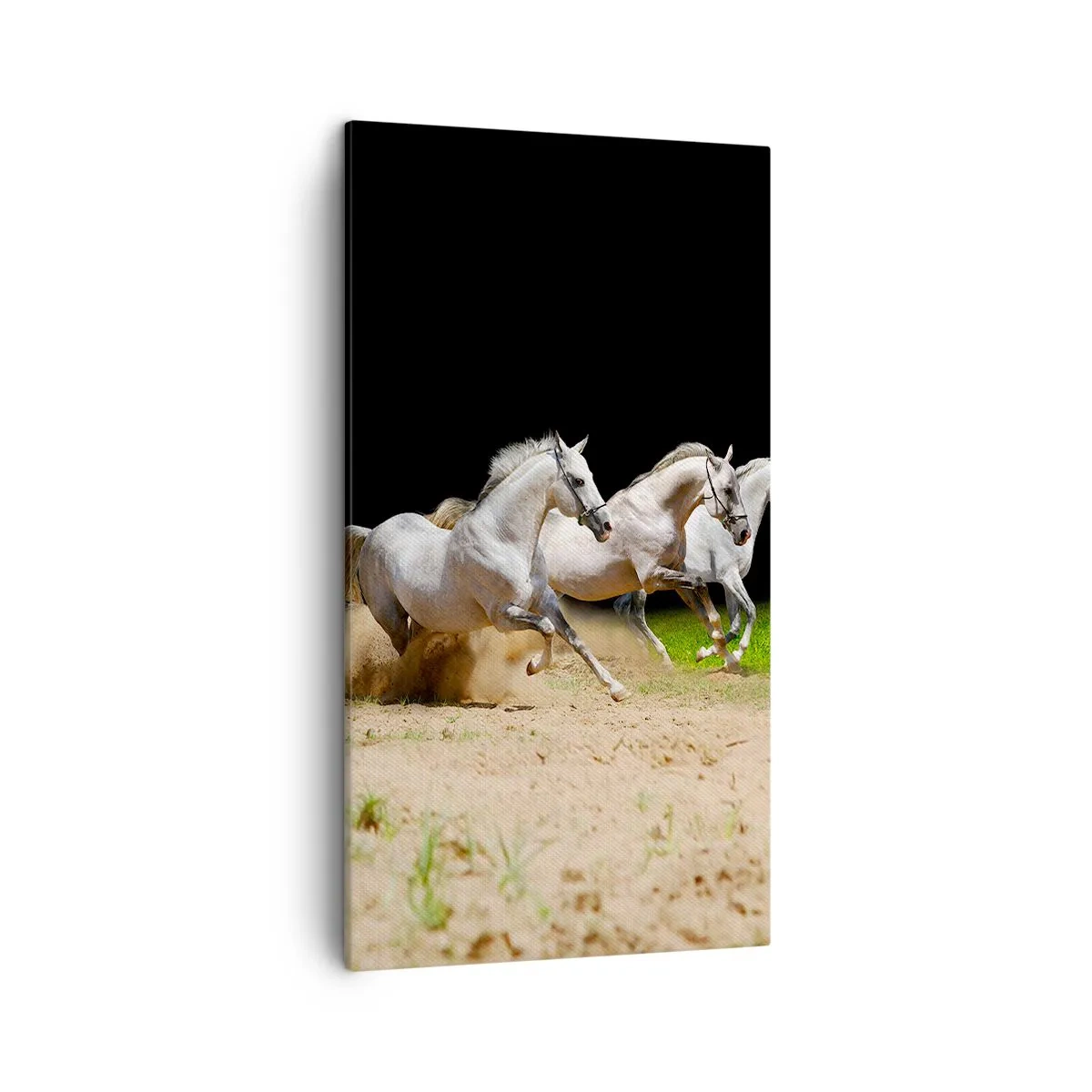 Quadro su tela - Stampe su Tela - Tre Grazie - 45x80 cm