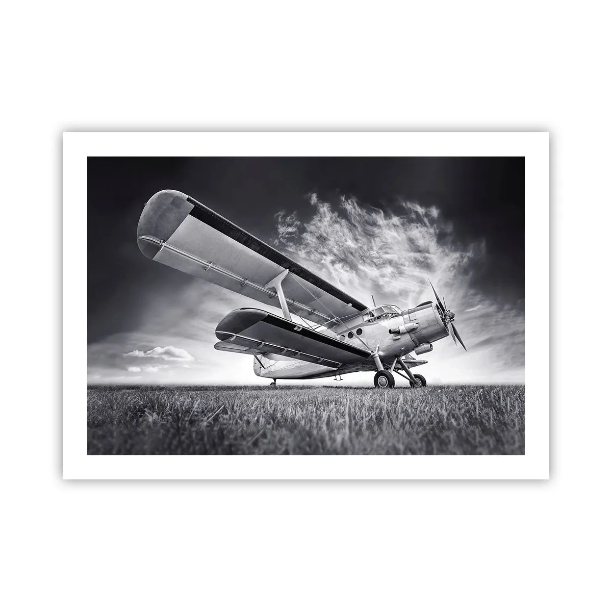 Poster - Giramondo alato  - 70x50 cm