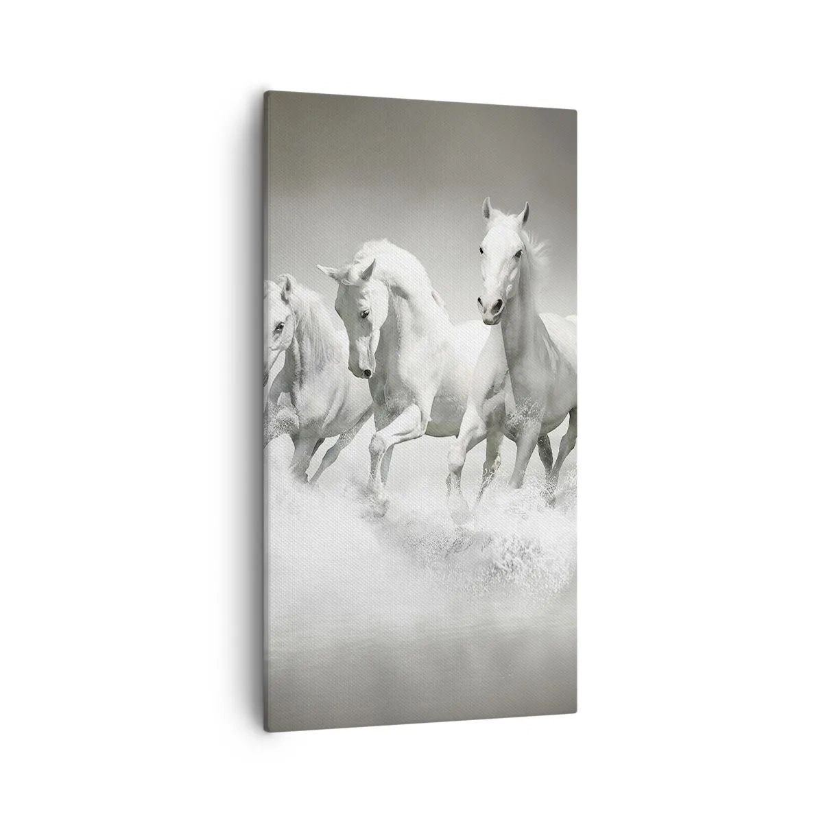 Quadro su tela - Stampe su Tela - Estasi bianca - 55x100 cm