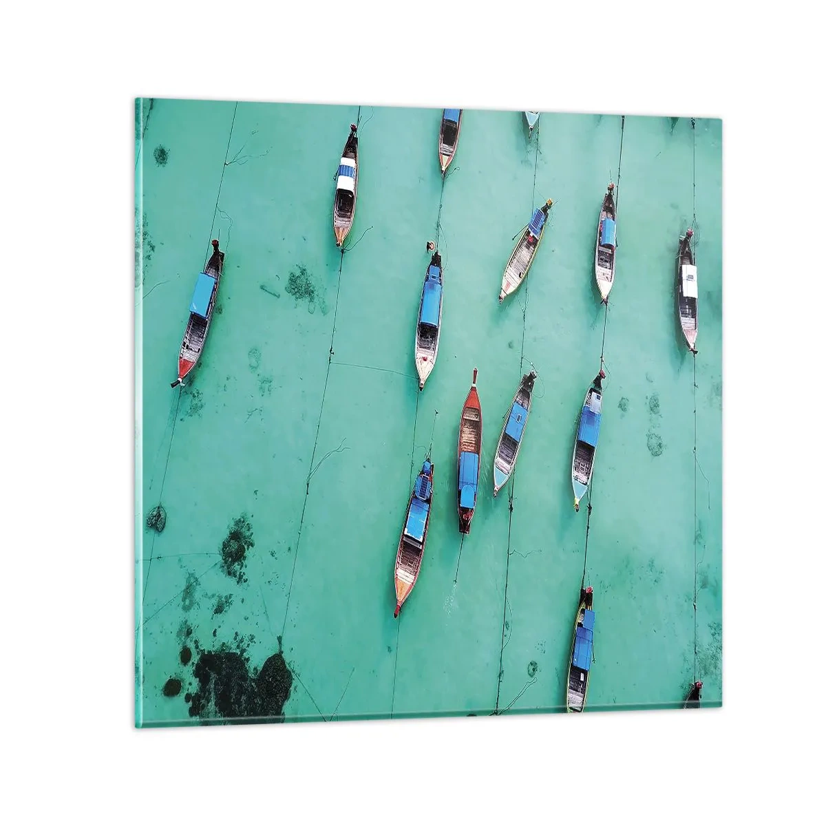 Quadro su vetro - In gioiosa attesa - 50x50 cm