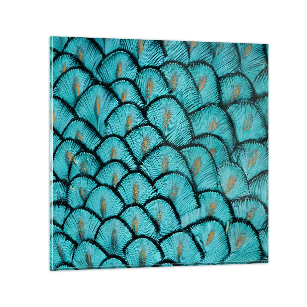Quadro su vetro - La grande festa delle piume - 40x40 cm