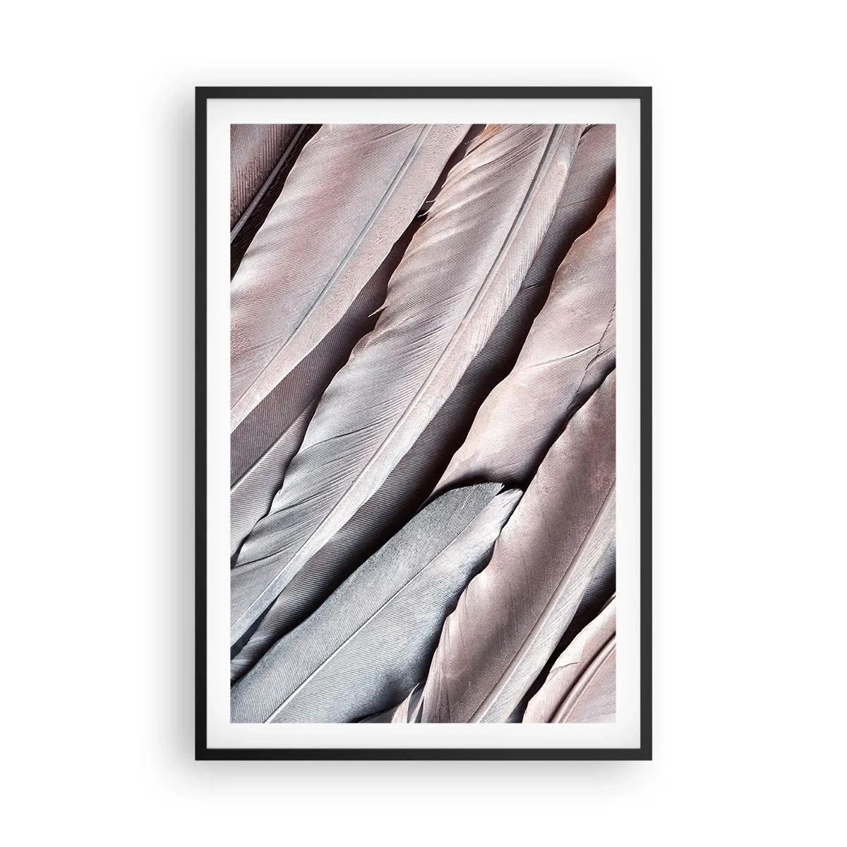 Poster in cornice nera - Argento rosato - 61x91 cm