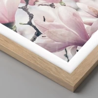 Rovere chiaro