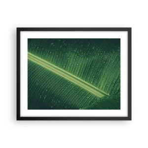 Poster in cornice nera - La struttura del verde - 50x40 cm