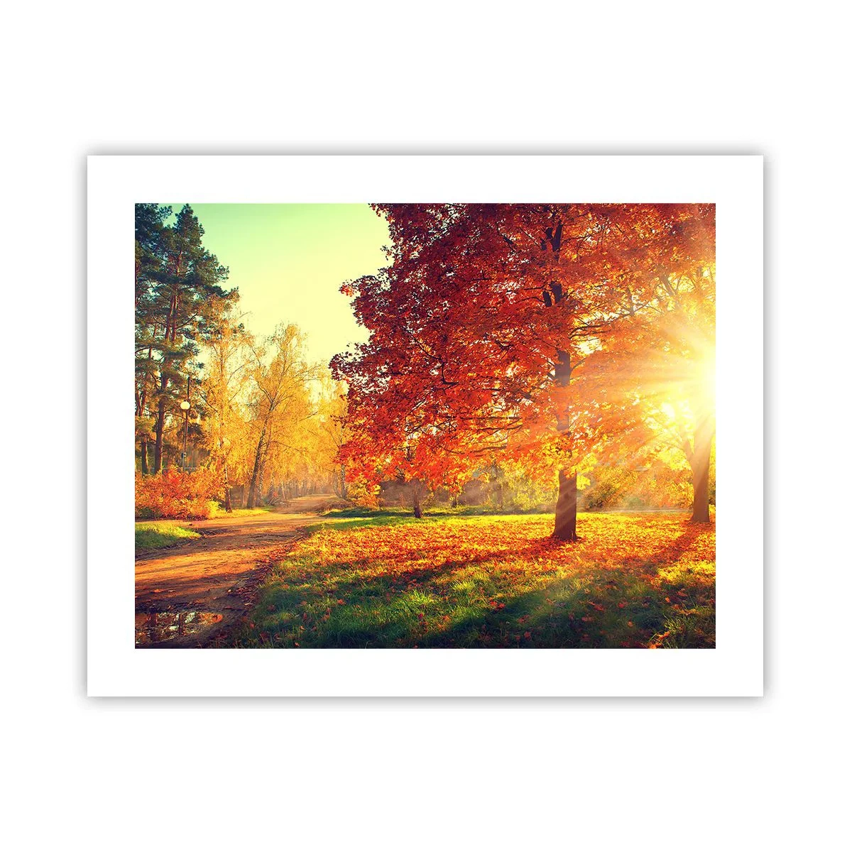 Poster - Rosso è bello - 50x40 cm