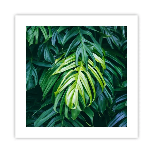 Poster - Immergersi nella freschezza - 40x40 cm