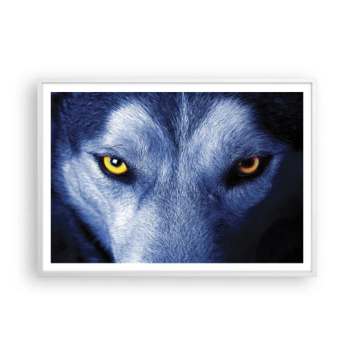 Poster in cornice bianca - Sguardo ipnotico - 100x70 cm