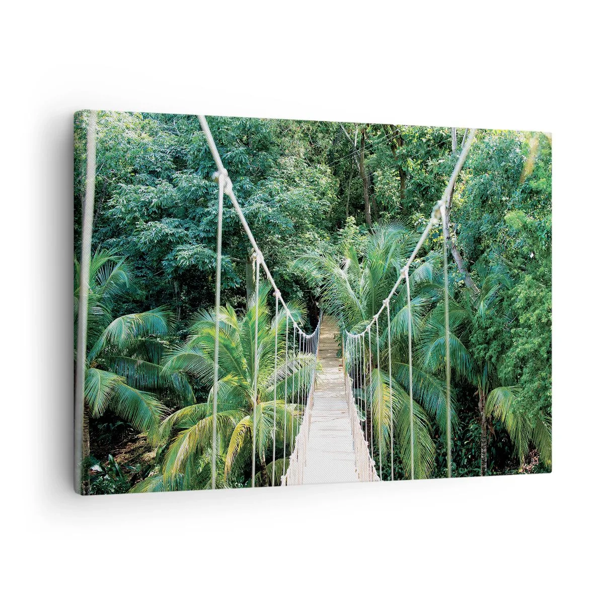 Quadro su tela - Stampe su Tela - Un ponte sospeso in una giungla tropicale piena di verde - 70x50cm - Welcome to the jungle! - Decorazione murale moderna per soggiorno e camera da letto ARTTOR