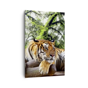 Quadro su tela - Stampe su Tela - Una tigre che riposa in una foresta tropicale - 80x120cm - Con espressioni di stima - Decorazione murale moderna per soggiorno e camera da letto ARTTOR