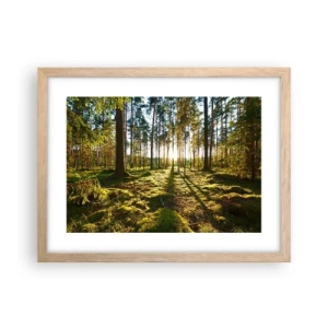 Poster in cornice rovere chiaro - …dopo sette foreste - 40x30 cm