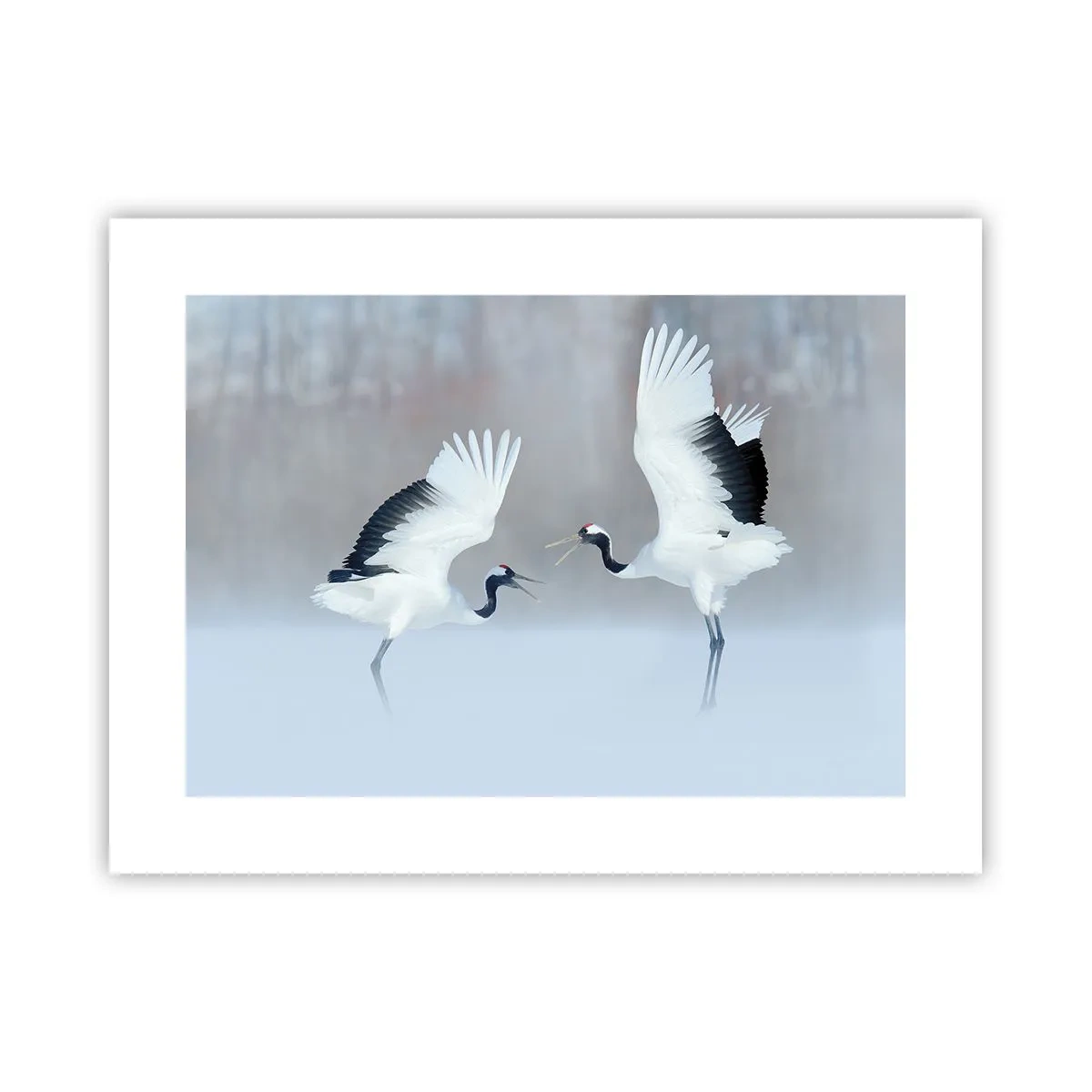 Poster - Danza nella nebbia - 40x30 cm