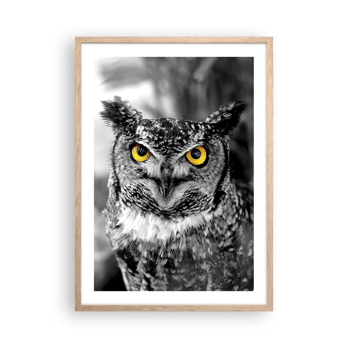 Poster in cornice rovere chiaro - Non si può nascondere niente - 50x70 cm