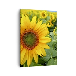 Quadro su tela - Stampe su Tela - Un campo di girasoli con fiori gialli su uno sfondo di foglie verdi - 50x70cm - Centinaia di soli ardono - Decorazione murale moderna per soggiorno e camera da letto ARTTOR
