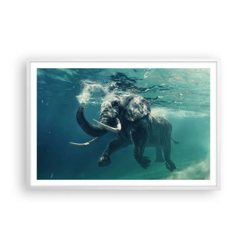Poster in cornice bianca - Tutti amano nuotare - 91x61 cm