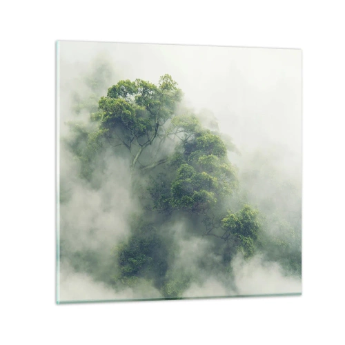 Quadro su vetro - Avvolti dalla nebbia - 70x70 cm