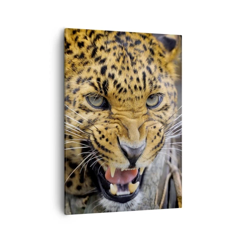 Quadro su tela - Stampe su Tela - Primo piano di un leopardo minaccioso con le zanne scoperte. - 50x70cm - Non avvicinarti, ti avverto! - Decorazione murale moderna per soggiorno e camera da letto ARTTOR