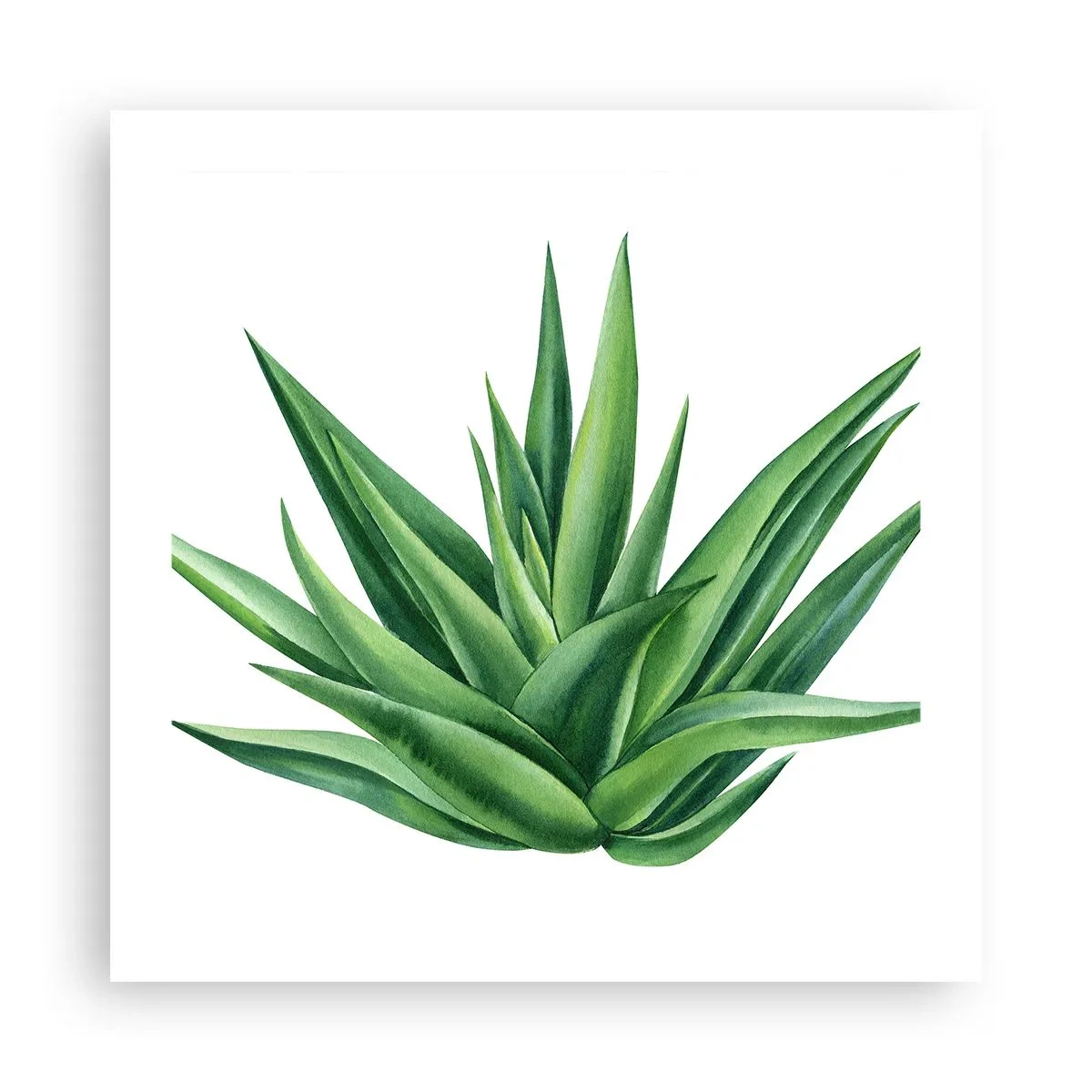 Poster - Verde - forza - vita - 50x50 cm