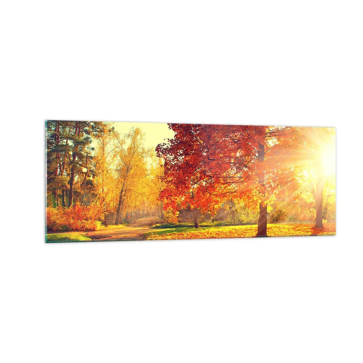 Quadro su vetro - Parco autunnale illuminato dalla luce del sole - 140x50cm - Rosso è bello - Decorazione murale moderna per soggiorno e camera da letto ARTTOR