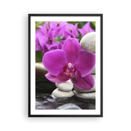 Poster in cornice nera - Un'orchidea viola su uno sfondo di pietre in una disposizione armoniosa - 50x70cm - E già ti riposi - Decorazione murale moderna per soggiorno e camera da letto ARTTOR