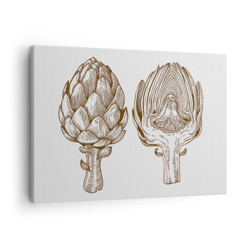 Quadro su tela - Stampe su Tela - Disegno d'arte d'epoca di un carciofo - 70x50cm - Lezione di anatomia - Decorazione murale moderna per soggiorno e camera da letto ARTTOR
