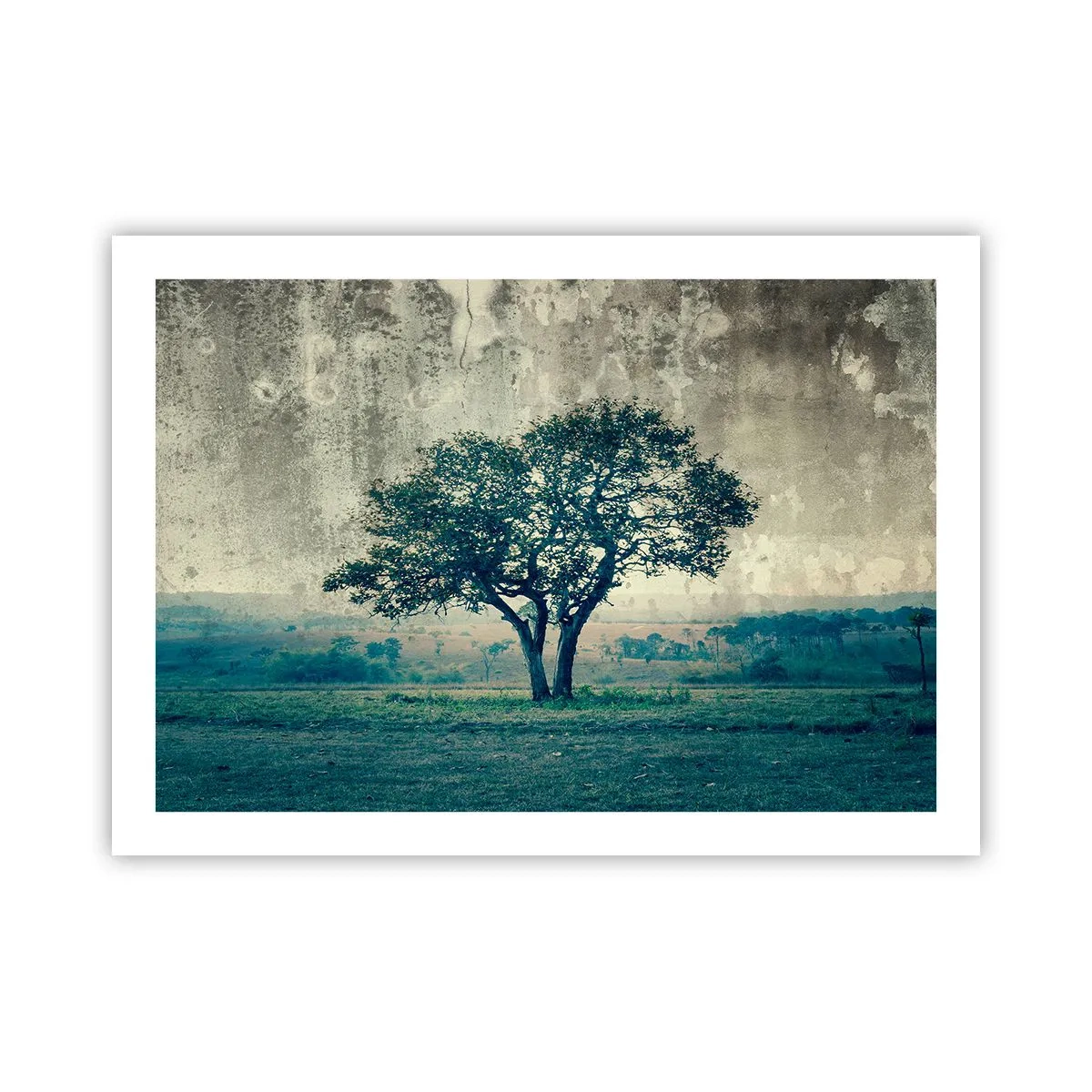 Poster - Un melo su un prato blu? - 70x50 cm