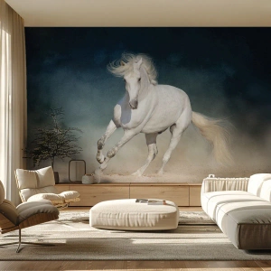 Fotomurali Premium Canvas - Libertà allo stato puro - Cavallo, Animale, Bianco - 500x350 cm